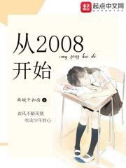 从2008开始泽野闲人都市