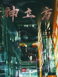 神立方是杂牌子还是名牌