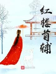 红楼首辅家的小娇妻免费阅