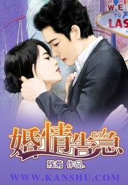 婚情告急总裁想复婚的第N天 茜茜不吃糖