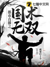 都市之国术无双电子书