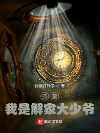 盗墓笔记穿越成解家