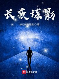 长夜谍影原名