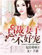 危险婚姻总裁妻子不好宠大结局