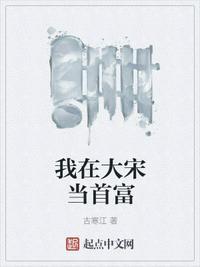我在大宋当官