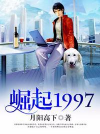 崛起2003