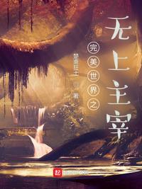 完美世界之无上主宰 楚南狂士319