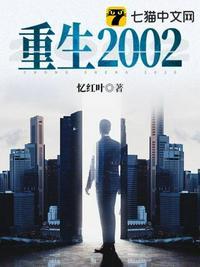 重生2002我的投资时代