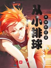 从小排球开始的征途怎么看