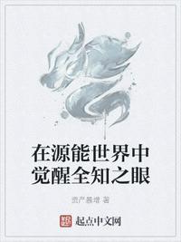 在源能世界中觉醒全知之眼入门级