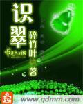 识翠断玉免费阅读