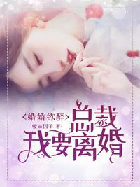 总裁我要离婚2k
