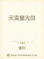 冰天雪剑武魂
