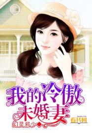 我的冷傲美女夫人