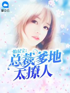 一胎双宝总裁爹地超会撩