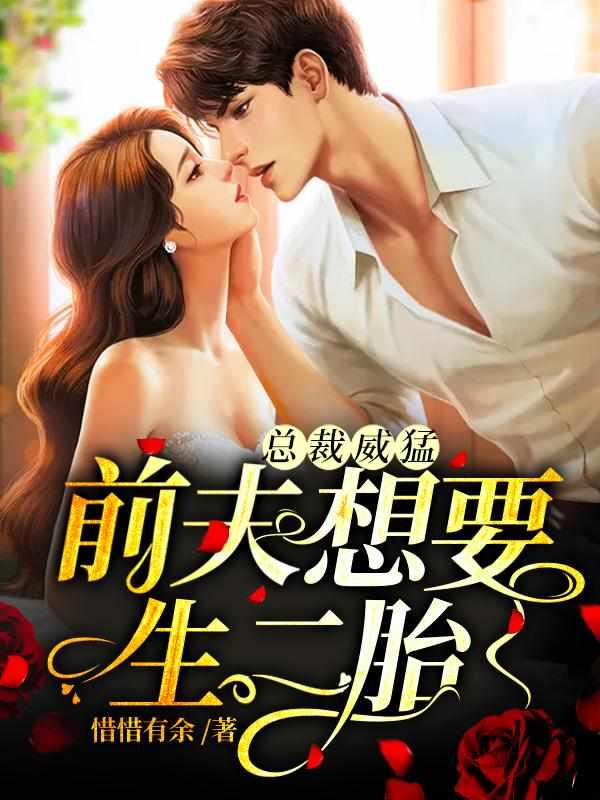 总裁威武前夫想要生二胎