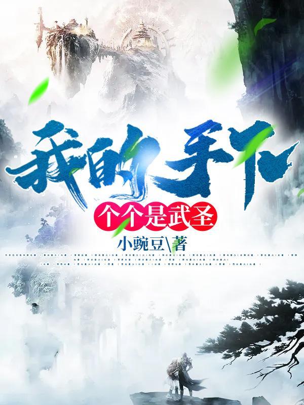 我的手下个个是武圣境界赵崇
