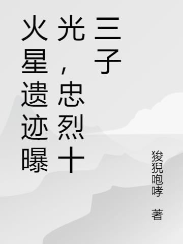 忠烈十三子的动画