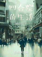 四合院的生活全文阅读