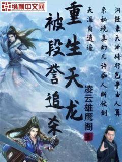 重生段誉之天龙八部