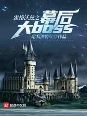 霍格沃兹之幕后大boss类似