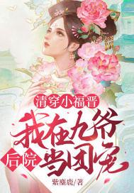 清穿小福晋我在九爷后院当团宠免费阅读