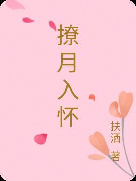 撩月入怀沈雨顾闻舟