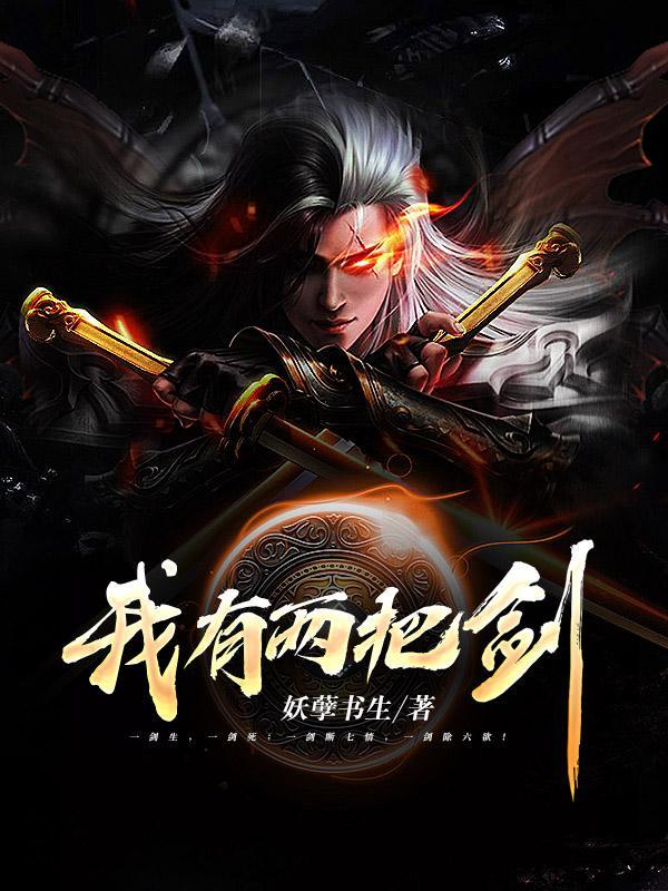 我有两把剑且慢和住手