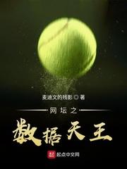 网坛之数据天王TXT百度免费阅读
