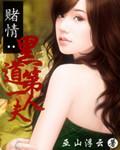 盛爱第一夫人全本TXT