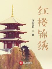 红楼锦绣txt资源