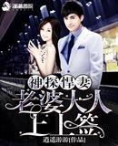神探悍妻之老婆大人上上签无弹窗