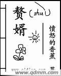赘婿内功