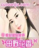 田野花香(乡村猎艳) 第502章