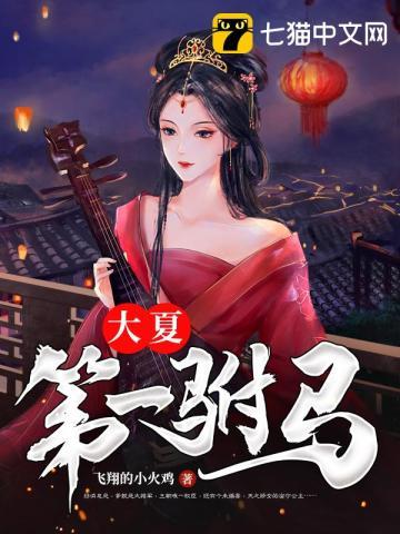 大夏第一驸马爷