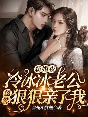 老公老公老公抱抱什么歌