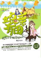 腹黑神医娘亲带球跑