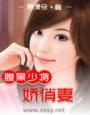腹黑少将闪婚的小小妻