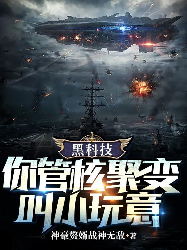 黑科技你管核聚变叫小玩意宝书网