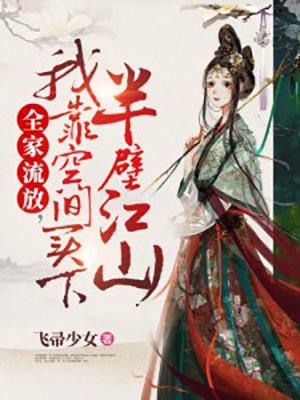 我靠空间买下半壁江山B站