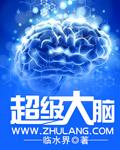 超级大脑节目视频