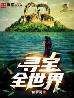 寻宝全世界评价