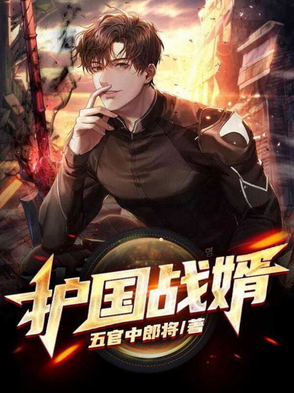 护国战婿完整版
