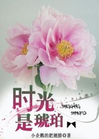 时光是琥珀繁体