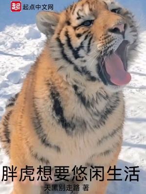 胖虎的幸福生活