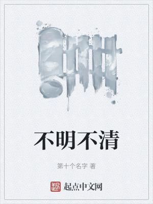 不明不清TXT