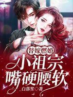 替嫁小宠妻