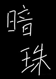 暗珠(1V1)笔趣阁