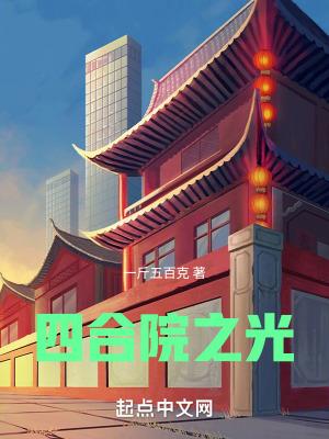 四合院之光TXT全本