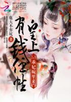 皇上狠狠宠妃子